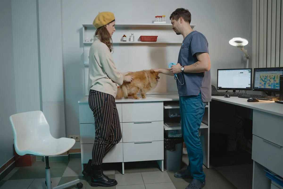 Consultório veterinário com um cachorro pequeno na mesa de exame, um estetoscópio na mão e dois monitores ligados na mesa