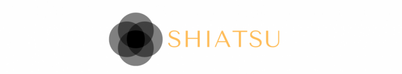 Shiatsu ™️ Masajeador